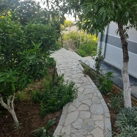 Mane Sarande